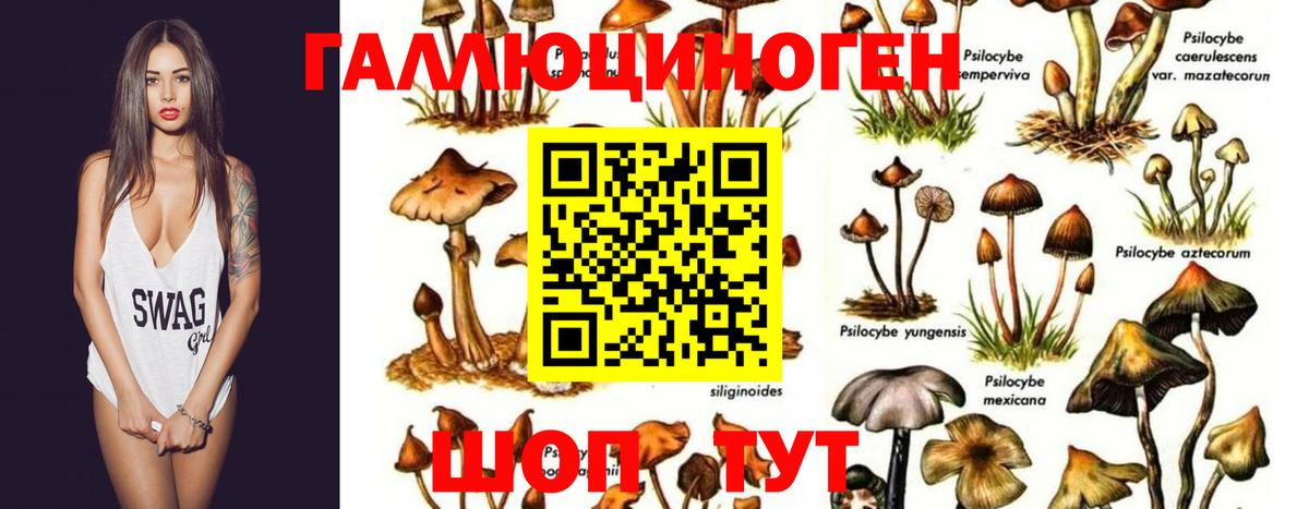 Псилоцибиновые грибы мухоморы Топки